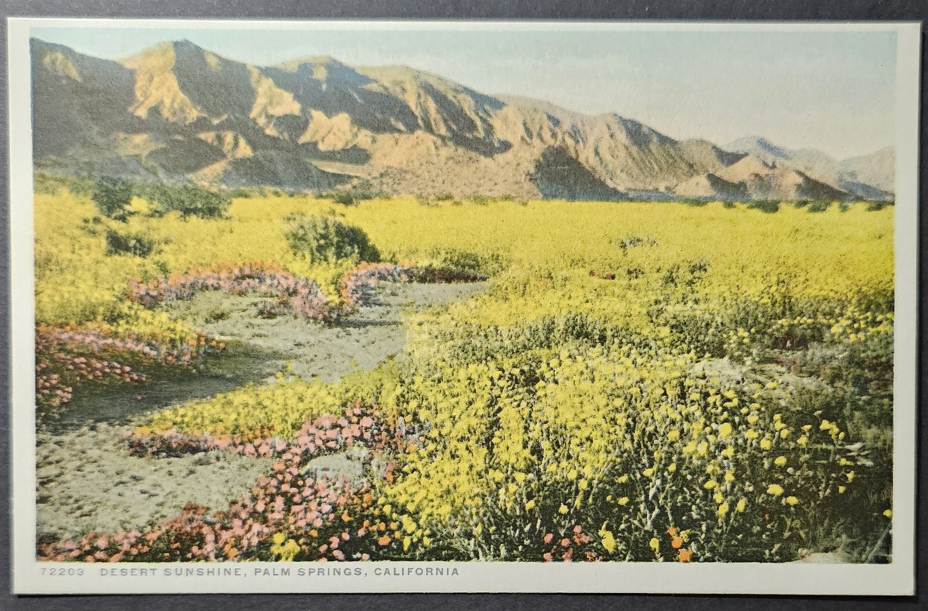 (image for) postcard USA - CA - California #0068